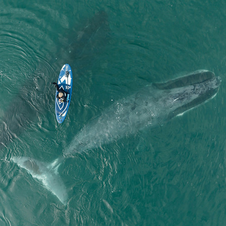 Archipelago of Discoveries: Wrangel Bay 